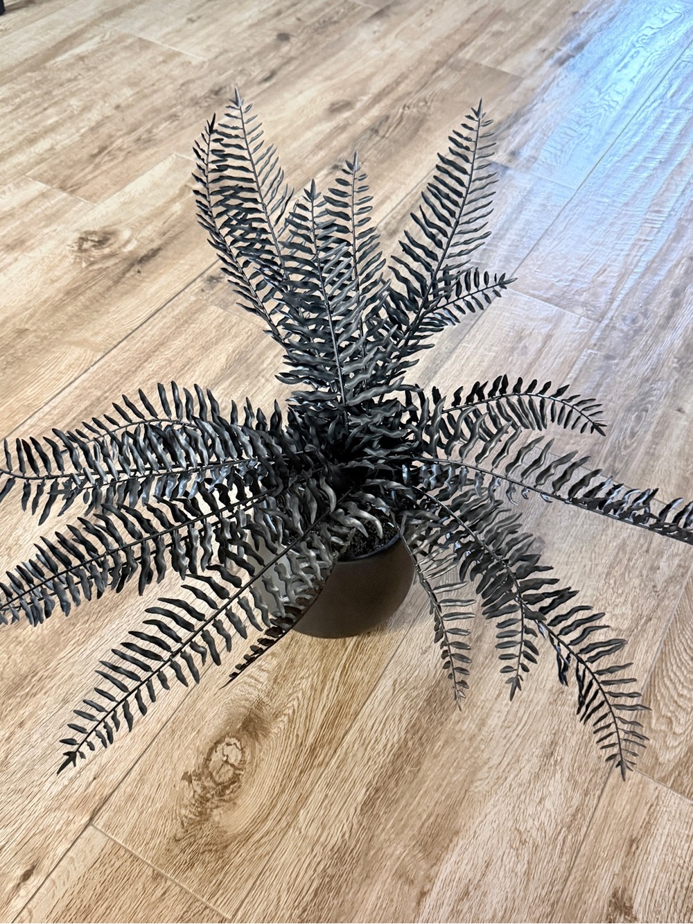 Halloween Black Faux Fern in Matte Pot - Home Accents